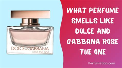 perfume similar to dolce and gabbana rose the one